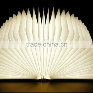 Mini Version LED WOODY Book Lamp thumbnail-2