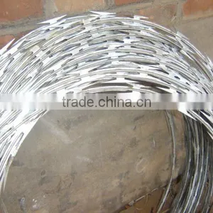 Concertina Razor Wire thumbnail-1