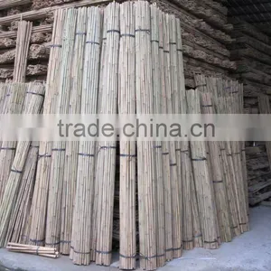 Tonkin Bamboo Stake - Bamboo Cane - Natural Bamboo Cane thumbnail-1