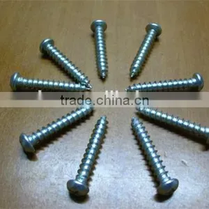 Competitive Price Tapping Slotted Pan Head Screw thumbnail-1