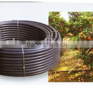 PE Irrigation Pipe thumbnail-1