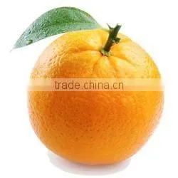 Fresh Naval and Valencia Oranges South African Oranges thumbnail-2