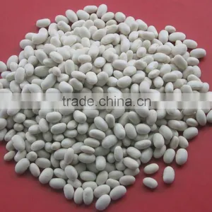 Chinese White Kidney Beans 180-360pcs/100g thumbnail-1