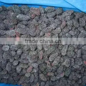 New Crop Frozen Mulberry for Sale thumbnail-1