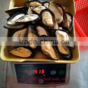 Wholesale High Quality Half Shell Mussel With Good Price thumbnail-2