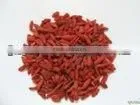 Wolfberry Powder thumbnail-1