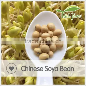 Export China Soybean in Bulk thumbnail-6