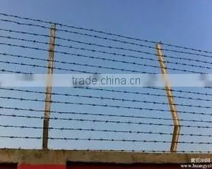 Hot Dipped Galvanized Barbed Wire Price per Roll Barbed Wire Fence Design thumbnail-5