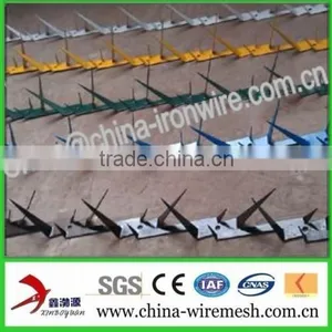 Galvanized Steel Wall Spikes / Anti-climb Spikes/ Security Spikes (factory ) thumbnail-2