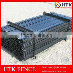 Black Y Post Star Picket for Austrlia thumbnail-2