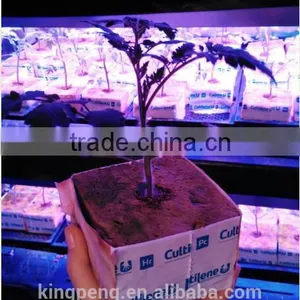 Greenhouse Used Hydroponic Rock Wool thumbnail-1
