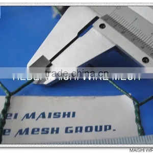 (E)Galvanized Hexagnal Net (Super Deal Manufacturer ) thumbnail-1