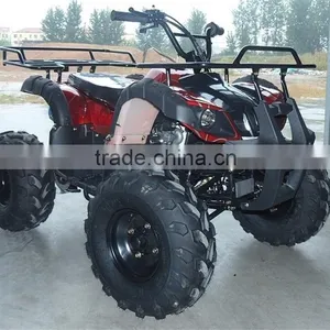 Small Beach Buggy Truck For Young Man Race On Beach thumbnail-6