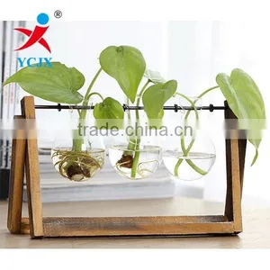Hanging Clear Glass Plant Terrarium With Wooden Base thumbnail-1