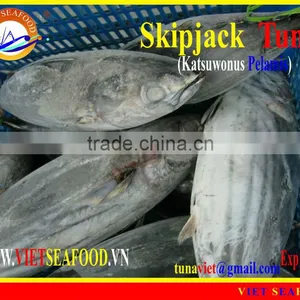 W/R FROZEN SKIPJACK TUNA thumbnail-1