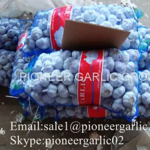 4.5-5cm Normal White Chinese Fresh Garlic In Mesh Bag Packing thumbnail-4