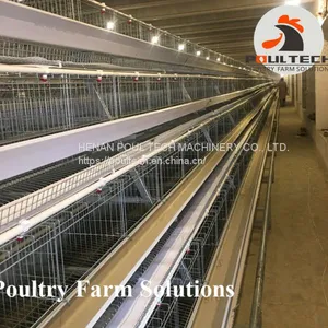 160 Birds of A Type Layer Chicken Cage Equipment With Automatic Equipment thumbnail-2