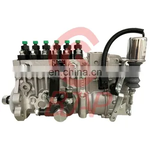 BYC NEW Injection Pump T73208225 Engine 1006TG02 Injection Pump CPES6PB110D120RS3162 Pump thumbnail-1