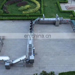 Automatic Small Potato Chips Line Frozen Potato Sticks Processing Line thumbnail-7