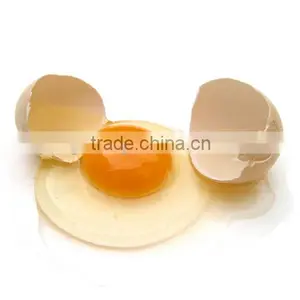 Chicken Egg for Sale thumbnail-1