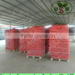 Export Fresh Onion Spcification 7-9cm In Wholesale Price thumbnail-6