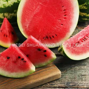 Red Flesh Hybrid f1 Watermlon Seeds for Middle East Market Crim No.2 thumbnail-1