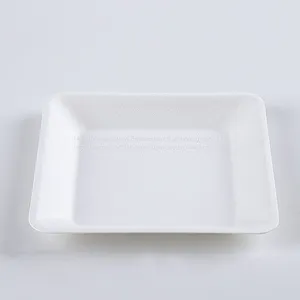 Disposable Biodegradable 6 INCH Square Plate Take Away Sugarcane thumbnail-2