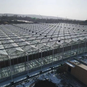 Shandong Beita Agricultural Technology Co., Ltd company overview - view 1 thumbnail