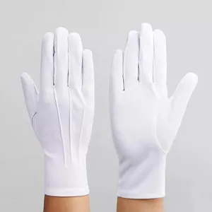 Ceremonial Gloves thumbnail-1