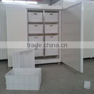 Factory Supply Automatic Bean Sprout Growing Machine for Sale thumbnail-5