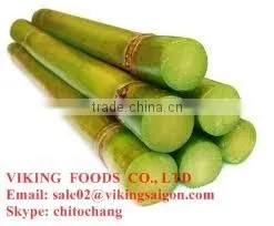 FROZEN SUGAR CANE - GOOD QUALITY thumbnail-4