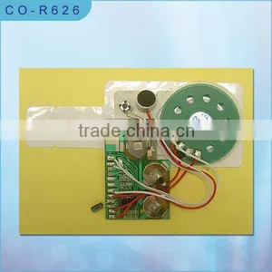 Sound Chip /recording or Pre-recording Module/USB Modules/motion Sensor Module/cheap Sound Module for Cards thumbnail-1