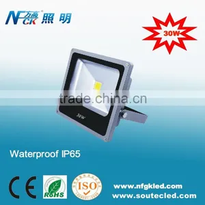 High Quality Wholesale Epistar Bridgelux COB 30W LED Floodlight thumbnail-1