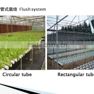 Greenhouse Hydroponics Garden for Vegetables thumbnail-2