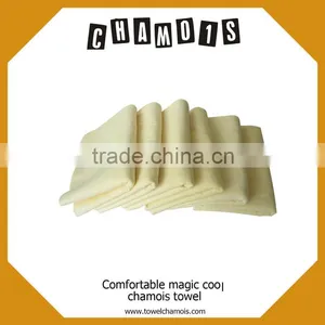 Car Cleaning Products Pva Car Chamois Sponge thumbnail-1