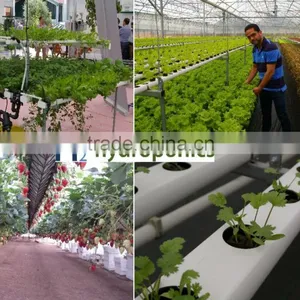 Garden / Commercial Greenhouses and Hydroponic Growing Kits thumbnail-1