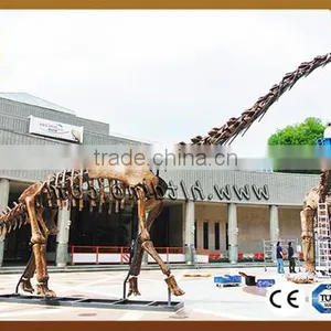 HLT Dino-Scaling Size Resin Zigong Dinosaur Replica for Sale thumbnail-1