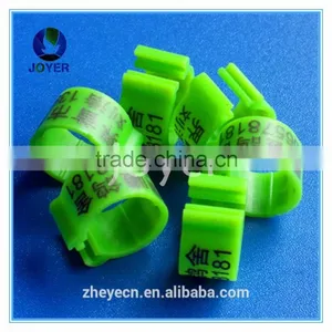 Factory Direct Bird Leg Bands Pigeon Ring Eagle Rings New 2016 thumbnail-2