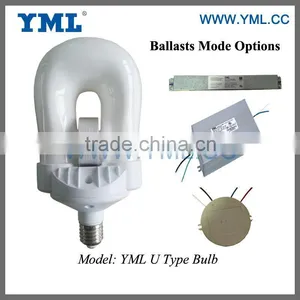 Retrofit Induction Lamp 40W for Garden Light thumbnail-1