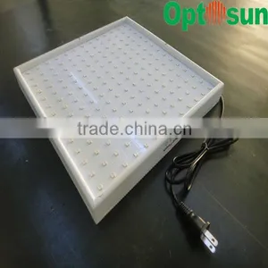 28w DIY Mini Led Grow Lighting thumbnail-4