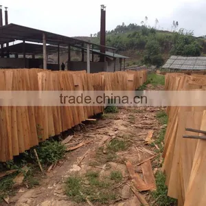Eucalyptus Core Veneer With High Quality in Viet Nam thumbnail-5