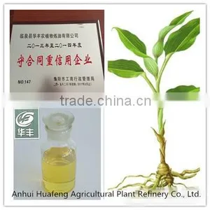 Best Ginger Oil Factory High Quality Ginger Extracg Oil Low Price thumbnail-5