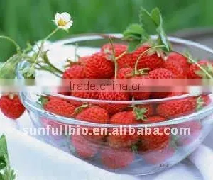 Strawberry Powder Food and Beverage thumbnail-1