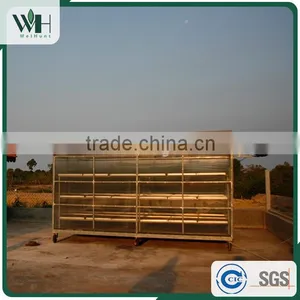 Vietnam Best Herb - Black Pepperseed 550gl 500gl With Good Price thumbnail-6