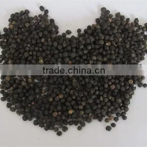 Malabar Spinach Seeds Vegetable Seeds for Planting thumbnail-4