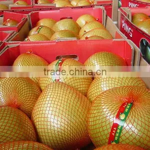 Pomelo for Sale 2012 thumbnail-1