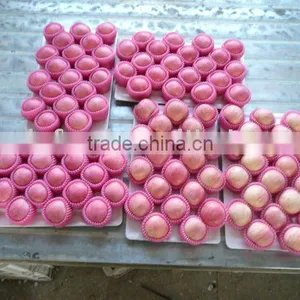Chinese Delicious FUJI Apple thumbnail-1