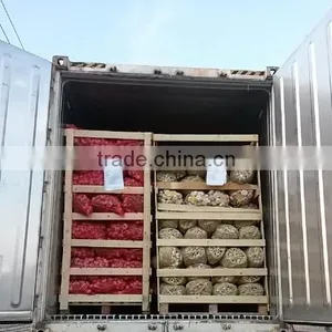 2017Hot Sale Egyptian Fresh Garlic (Red, White) for Export thumbnail-6
