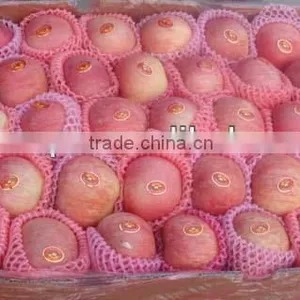 Shandong Fresh Red Fuji Apple for Sale thumbnail-1