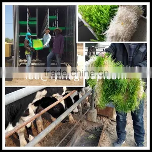 1000kg 500kg Big and Small Hydroponic Fodder System thumbnail-1